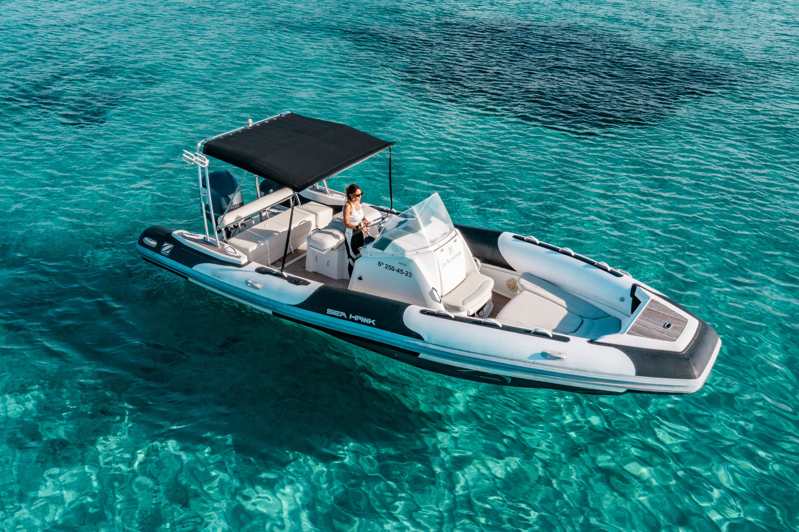 Sea Hawk 26