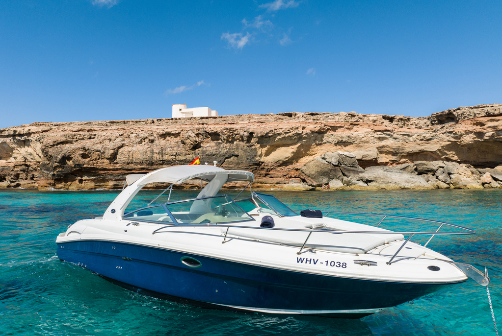Sea Ray 295