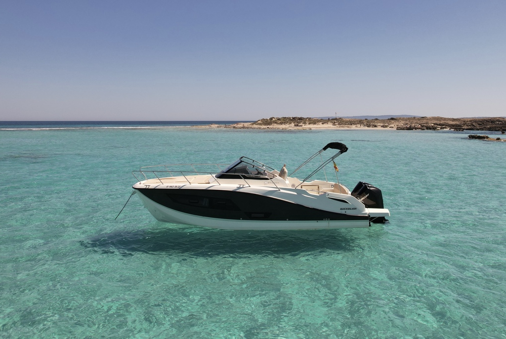 Quicksilver 875
