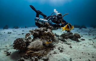 Buceo en Ibiza