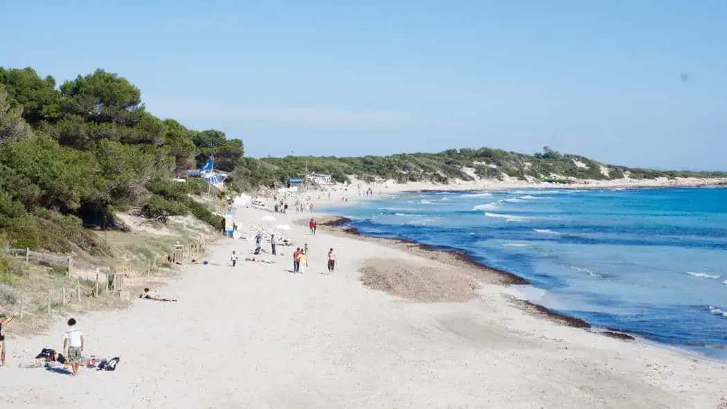 Playa de ses salines playas en ibiza